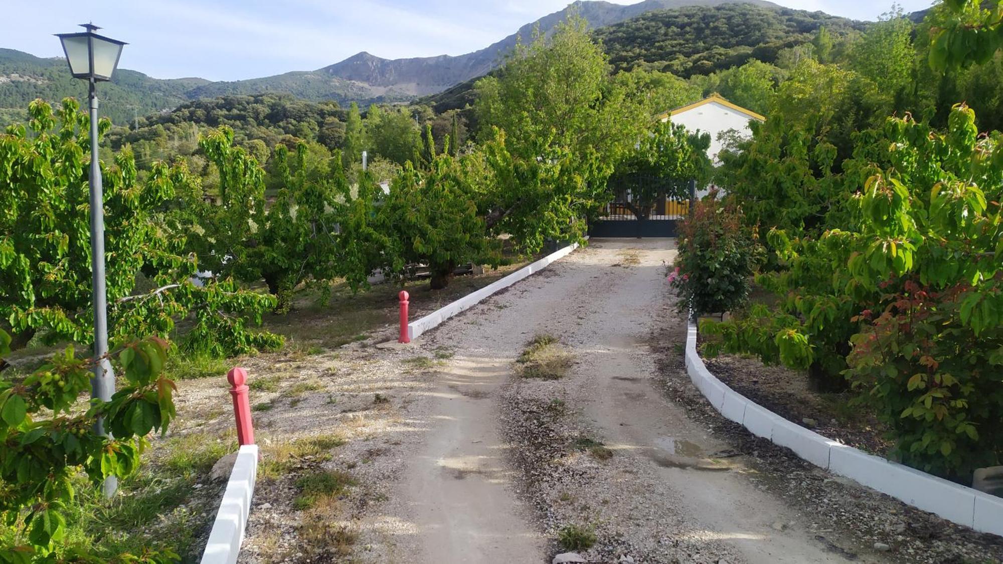 Los Cabales Torres  Bagian luar foto
